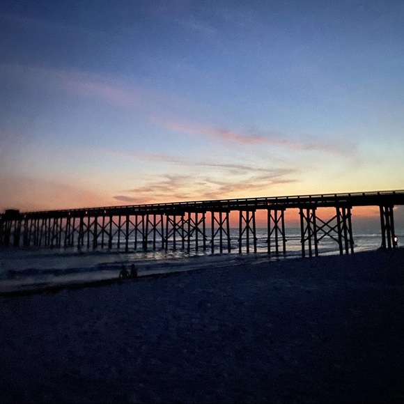 Meet your Posher, Sophie - Picture 1 of 1